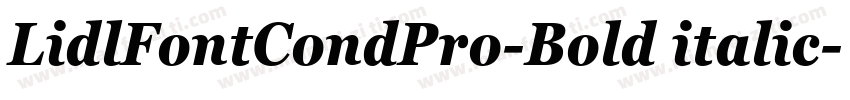 LidlFontCondPro-Bold italic字体转换